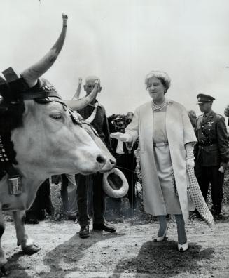 Just a wee bit nervous, Queen Mother Elizabeth appears somewhat apprehensive about touching this yoke of oxen during her hour- long tour of Upper Canada Village yesterday