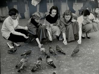 Feeding Pigeons in Trafalgar Square are members of Canadian all-girl orchestra