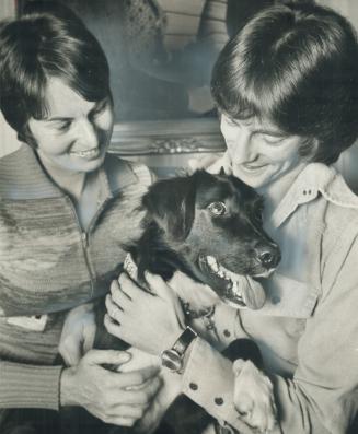 Spot's back home with Hawleys