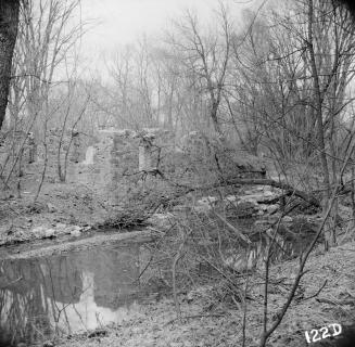 Image shows a limited view of the foundations of the mill along the river. There are a lot of t ...