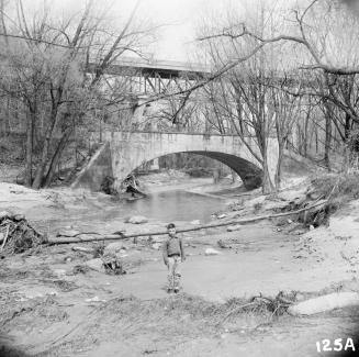 Image shows a portrait of a boy with a bridge, river and lots of trees behind him.