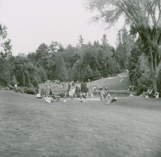 Image shows a number of people in the Edward Gardens surrounded by trees.