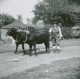 Image shows Charles Morland and a few cattle at Dalziel farm, northwest corner Steeles Avenue a ...