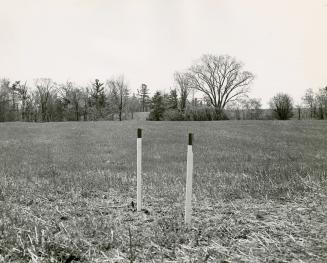 Two white stakes with black tips stand feet apart in an open field; a row of trees is seen in t ...
