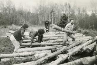Indian parolees pile lumber for their sawmill, which saws red pines planted by previous inmates at the former Burwash prison farm