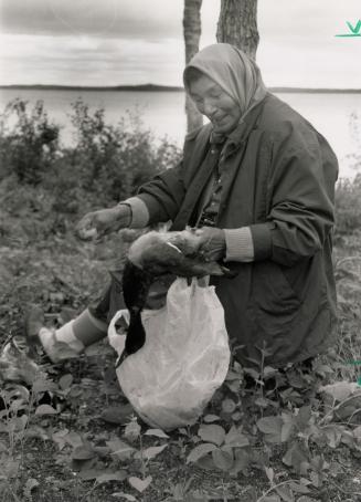 An older native woman plucks a duck near Kingfisher Lake