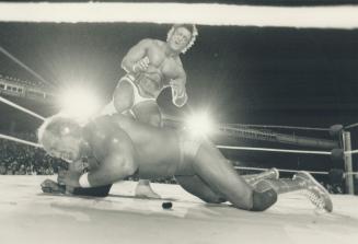 Ooh: that hurts: Hulk Hogan grimaces as he takes a well-placed boot in the ribs from Paul (Pretty Boy) Orndorff during their grudge match at the Ex last night