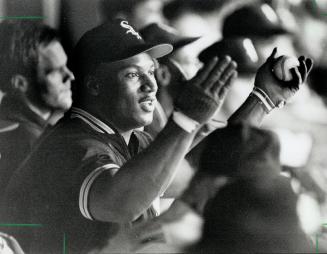 Cheer-Leader: White Sox's Bo Jackson: recovering from a hip injury: gestures in the dugout last night as Chicago thrashed the Blue Jays 12-4 at the SkyDome