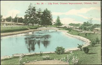 Lily Pond, Ottawa Improvement, Ottawa, Ontario