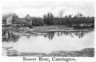Beaver River, Cannington