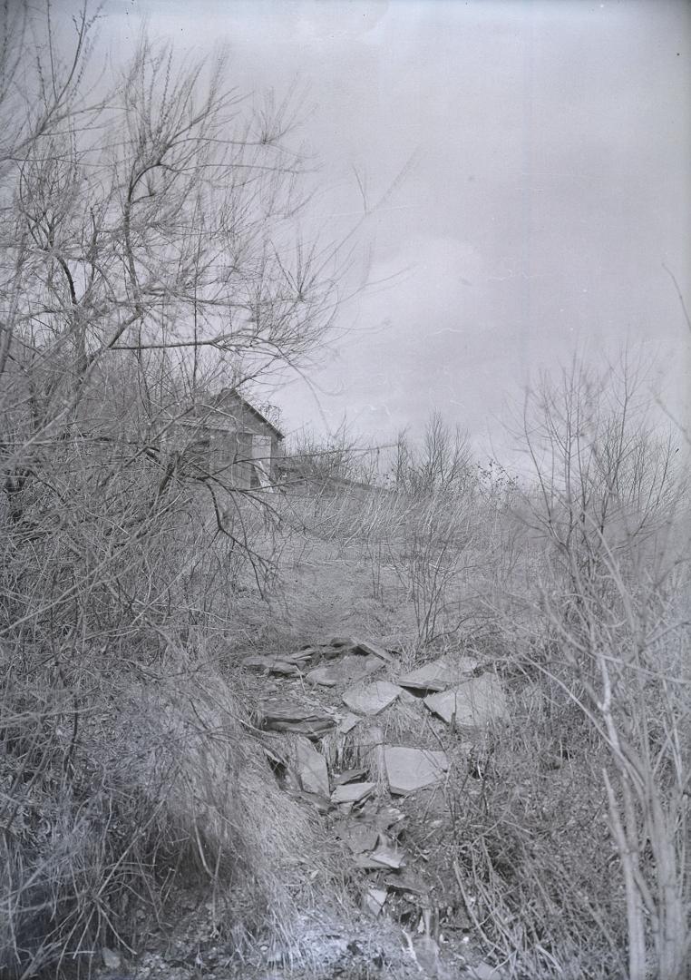 Humber River. Toronto, Ontario