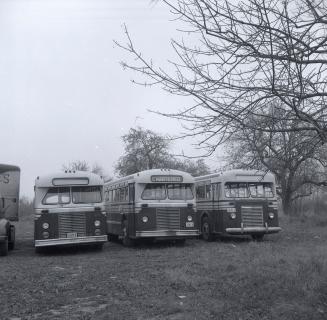 Roseland Bus Lines, bus