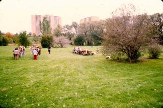 Rowntree Park