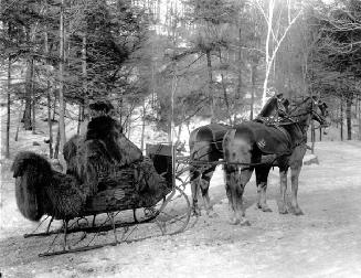 Sleighing in Rosedale Ravine