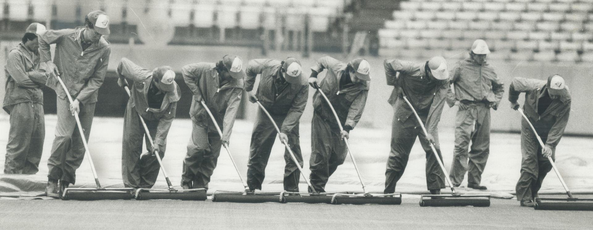 Roller-to-roller and shoulder-to-shoulder, the grounds crew at Exhibition Stadium squeezes rainwater out of the artificial turf