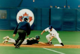 Toronto Blue Jays