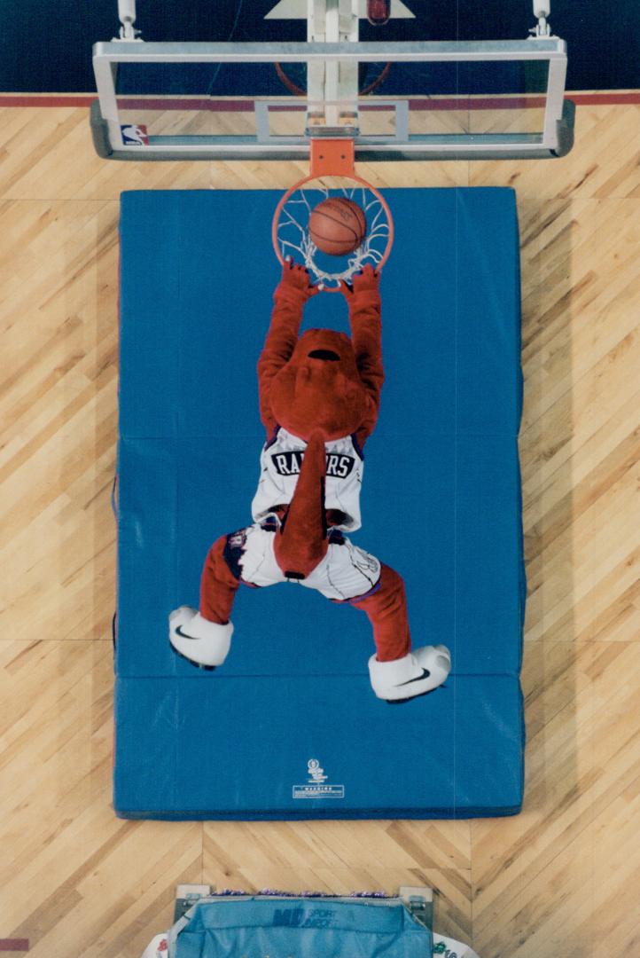 Raptor's Mascot