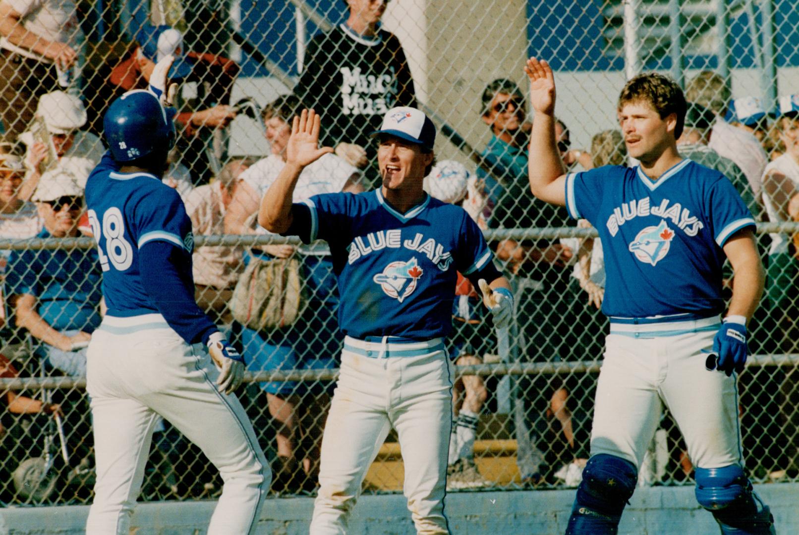 Jays celebrate victory Thorton Gruber, Stark