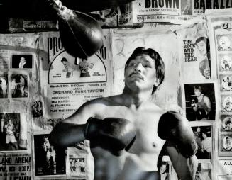 He's a knockout