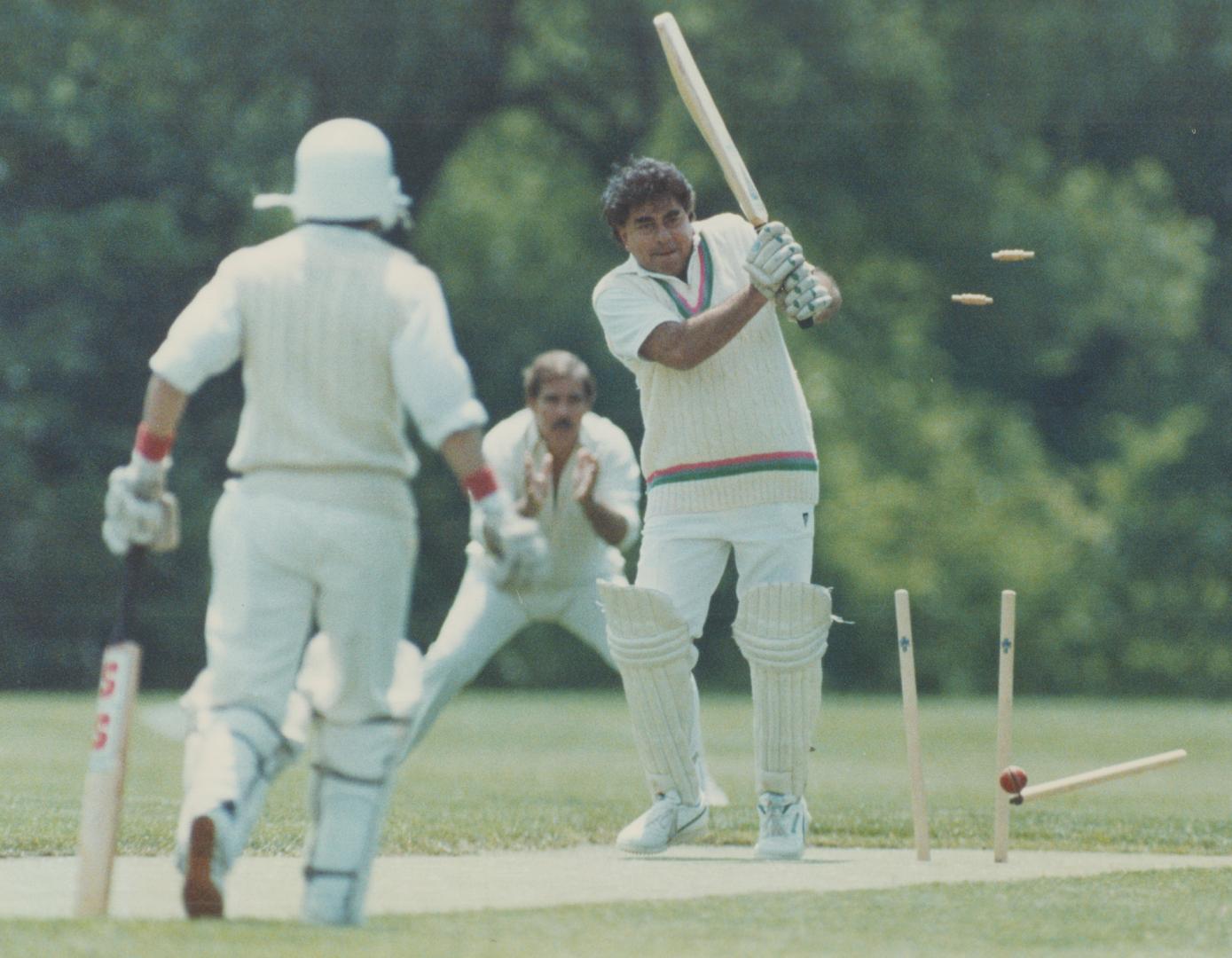 Cricket