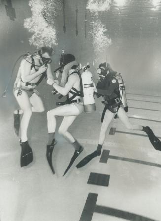 About 20 persons are taking an advanced course in scuba-diving program at Etobicoke's Olympium pool at Centennial Park