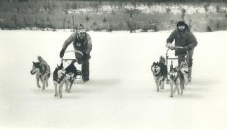 Urging huskies to the finish. it's mush mush all the way, as the dog sled teams of Bruce Facini, left, and Anthony Terpstra finish an eight kilometre (...)
