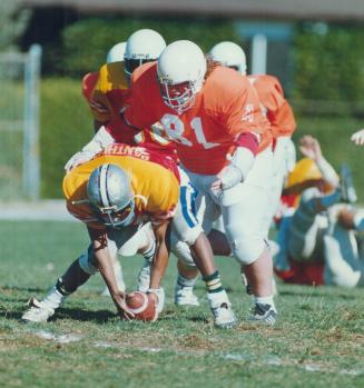 Moving in for the kill. Victoria Park's Rakeesh Singh scoops up a fumble while Jackson's 375-pound centre Sym Pryjma has other plans during yesterday'(...)
