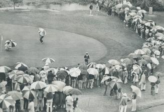 Sea of umbrellas