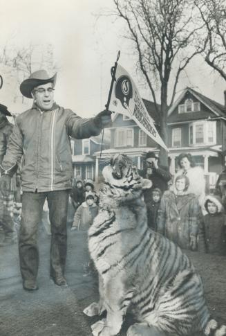 The real thing from Richmond Hill: Joseph Orsatti, an animal trainer from Richmond Hill, checks out his tiger cub before the Grey Cup parade started in Hamilton this morning