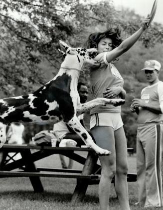 Frisbee madness. The Canadian Frisbee championships began yesterday on Olympic-Island and continue today. Above, Apolo, a dalmatian, leaps for Deborah Martin's frisbee