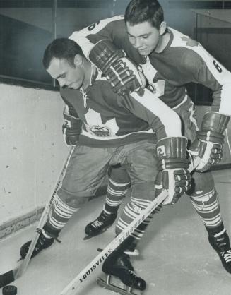 Marlies always go for big players, but they've really outdone themselves this season with 6-foot-5, 230-pound defenceman Bob Dailey, seen leaning heav(...)