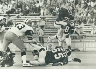 Argo fans are hoping Terry Metcalf (21) will et the CFL's perennial also-rans over the final hurdle back to respectability. It's been 26 years, count'(...)