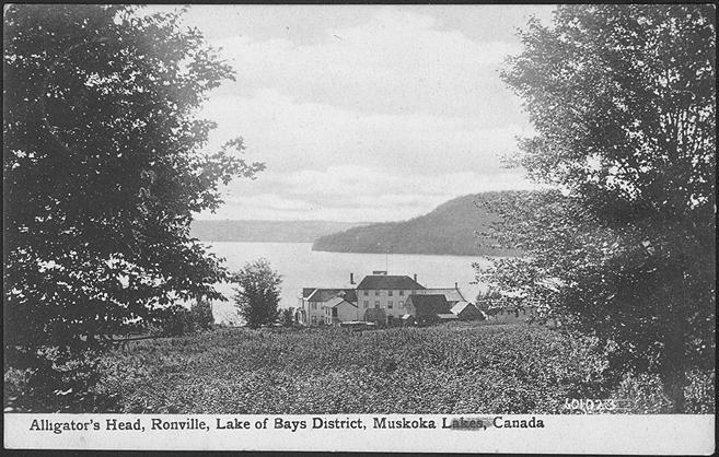 Alligator's Head, Ronville, Lake of Bays District, Muskoka Lakes, Canada