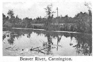 Beaver River, Cannington