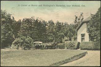 A Corner at Morris and Wellington's Nurseries, near Welland, Ont.