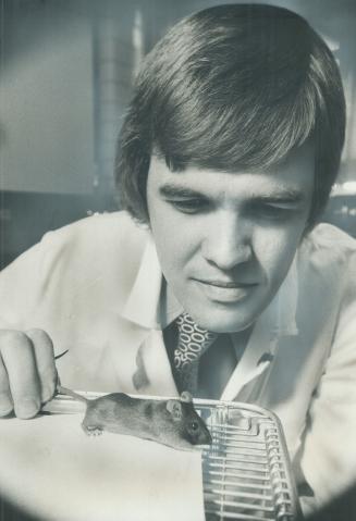 Dr. Robert Phillips studies a laboratory mouse in the cancer research program at Princess Margaret Hospital. Phillips, three other doctors and a compu(...)