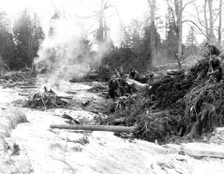 Humber River, debris clearance, Hurricane Hazel