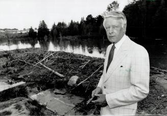 Hemmed in, Oshawa Councillor Jim Potticary is getting calls from his neighbors about a beavers' dam at the Wilson Rd