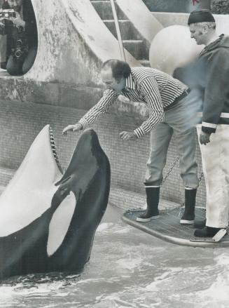 Having a whale of a time with a killer whale named Skana at opening of the new whale pool in the Vancouver aquarium Saturday, Prime Minister Pierre Tr(...)
