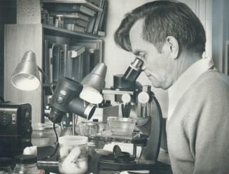 Gunter Voss, fired as Director of the zoo, examines microscope in his study