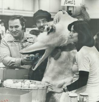 Al King of Kensington Waxman offers an apple to Sesame Street's Big Bird at bazaar's fruit stand