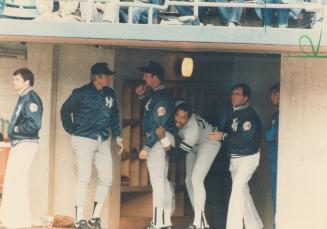 Winfield ducks trouble. Yankee outfielder Dave Winfield, who became embroiled in the Great Toronto Seagull Caper a few years ago when he accidentally (...)