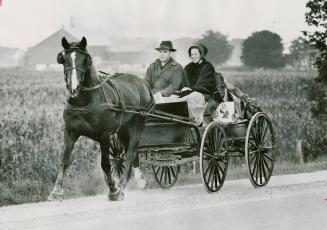A Mennonite couple with a buggy full of farm produce head for the new Elmira farmers' market