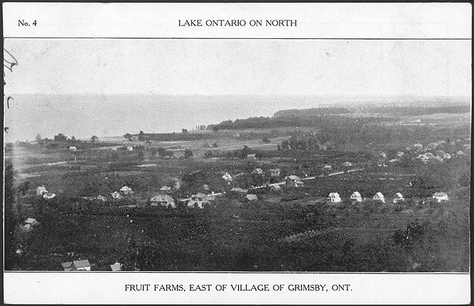 Lake Ontario on North - Fruit farms east of Village of Grimsby, Ontario