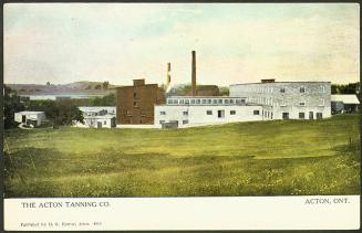The Acton Tanning Co