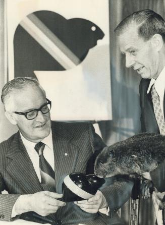 An expert takes a close look. Scrapper, a 20-week-old beaver, takes sniff at official symbol of 1976 Olympics at official uneveiling attended by presi(...)