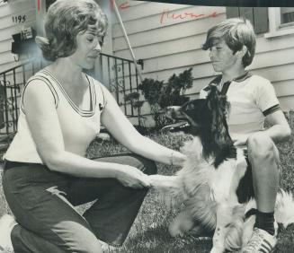 Alderman Mrs. Carol Ruddell shakes hands with Mickey today after she got the 18-month-old black and white border collie off on a charge of being vicio(...)