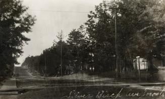 Historic photo from Tuesday, September 24, 1912 - Silver Birch Ave., looking north from the lakefront in The Beaches