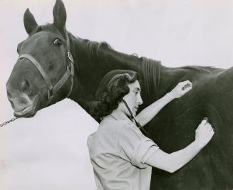Audrey Morrison, a fifth-year student, is specializing in the larger animals, such as horses, and this live model stands patiently while she listens to its heart beat for murmurs with a stethoscope