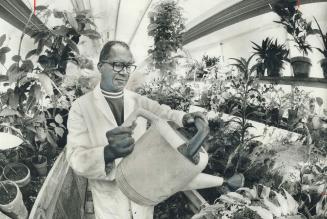 Horticulturist Andrew Benn of Scarborough waters plants in his exotic tropical greenhouse where he grows sugar cane, orchids, pineapples and bananas along with regular vegetables. The native of Guyana is teaching courses on indoor and outdoor gardening for beginners and advanced gardeners. His classroom is his greenhouse in his backyard on Vauxhall Dr. Classes started today and will run for 8 weeks.